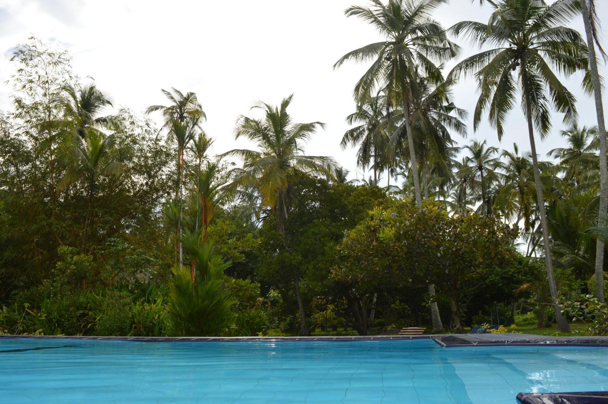 Zum Deutschen Bed & Breakfast Bentota Exterior photo